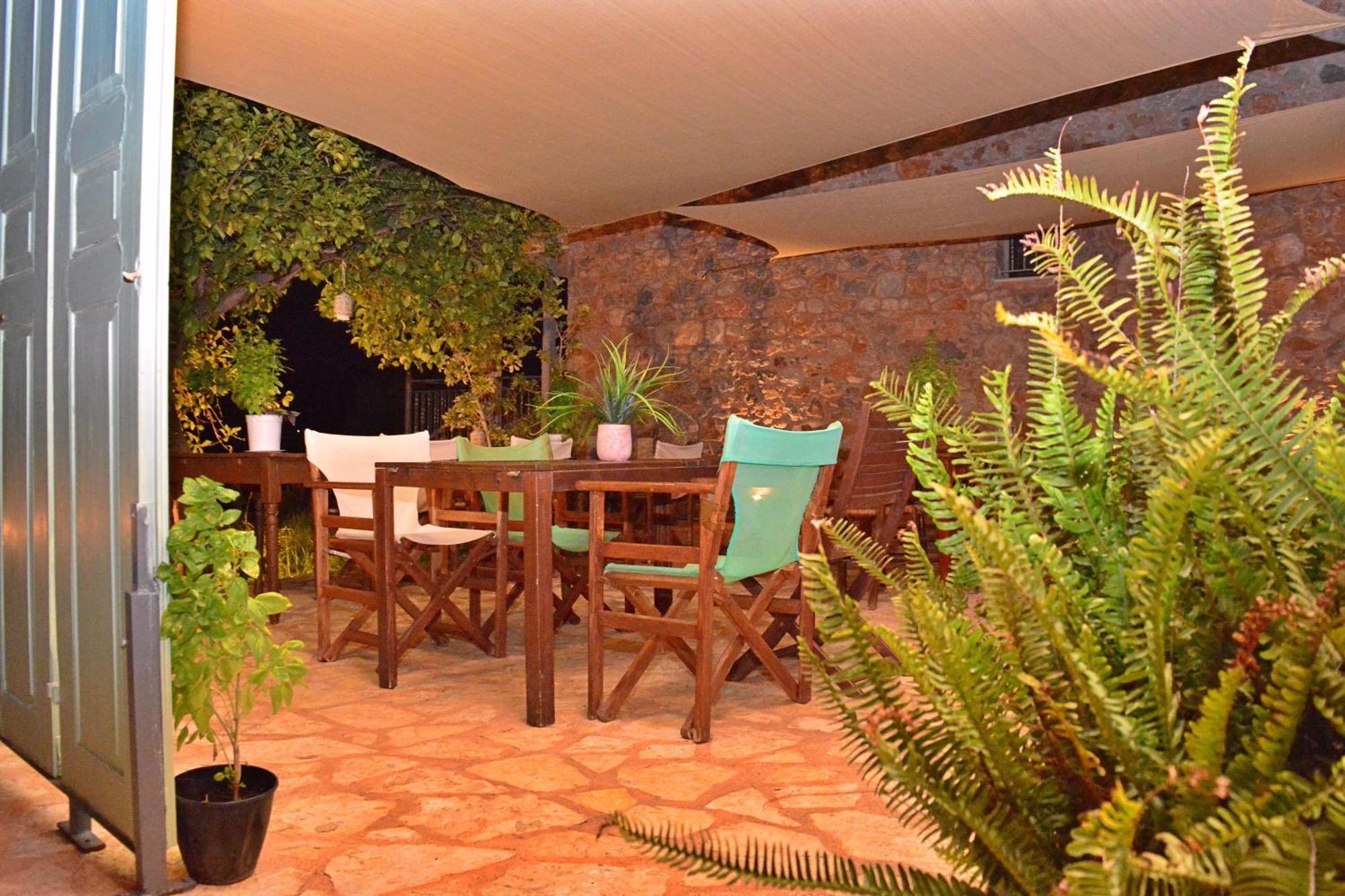 Villa In The Olive Trees Galaxídhion Exteriör bild