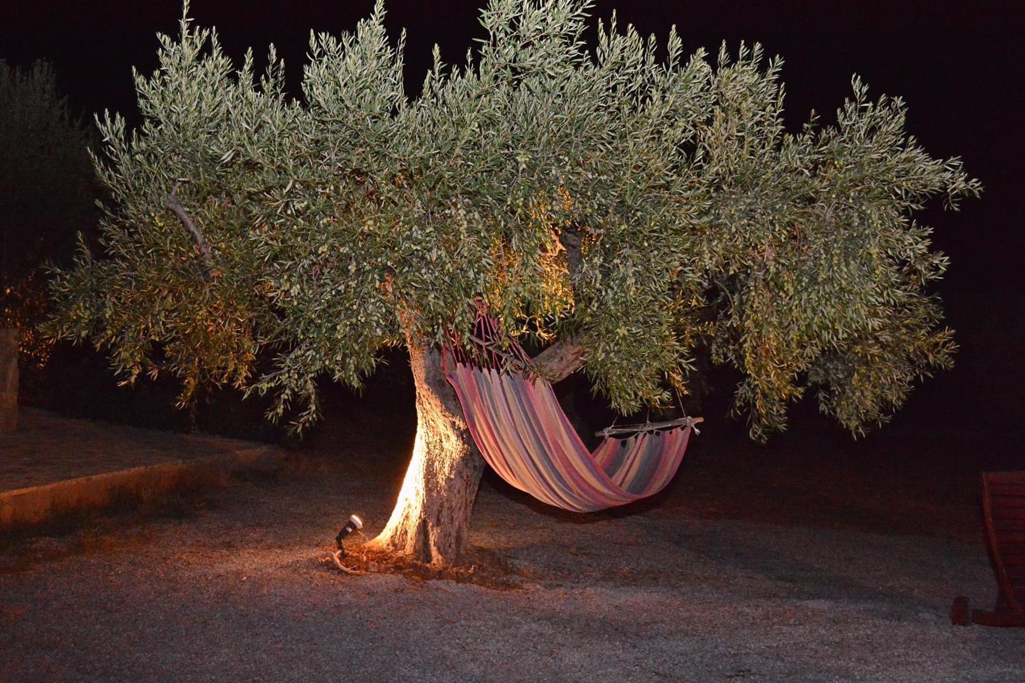 Villa In The Olive Trees Galaxídhion Exteriör bild